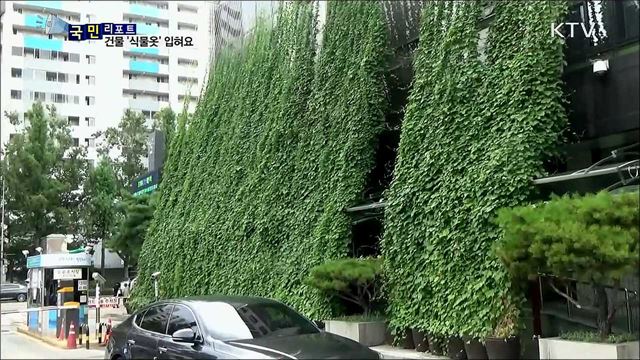 온도 낮추고 공기도 정화···건물 외벽 '그린커튼'