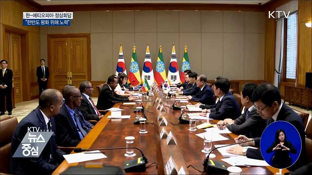 한-에티오피아 정상회담 "한반도 평화 노력"