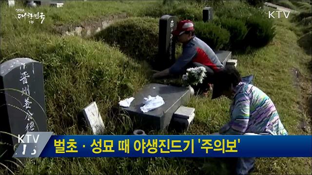 벌초·성묘 때 야생진드기 '주의보'