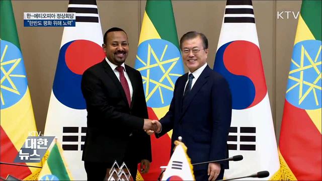 한-에티오피아 정상회담 "한반도 평화 노력"
