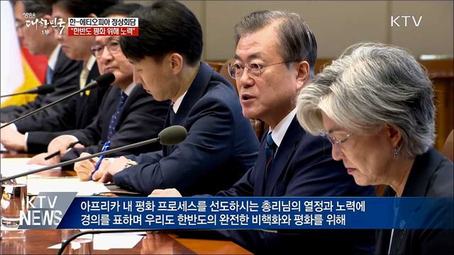 한-에티오피아 정상회담 "한반도 평화 노력"