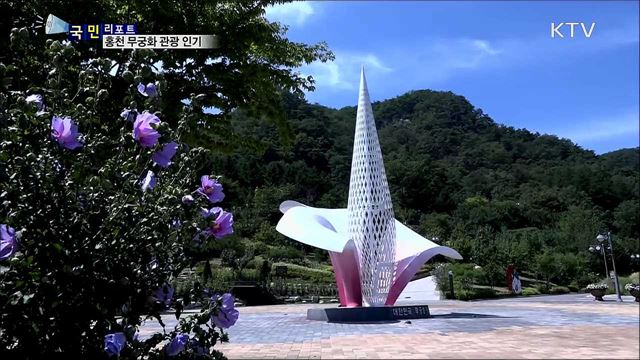 무궁화의 고장 홍천···무궁화 관광 발길 이어져