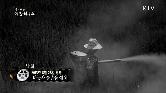 다시보는 대한늬우스 (63. 8. 28)