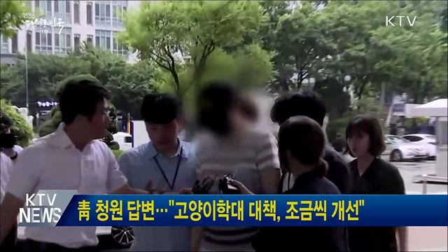 靑 청원 답변···"고양이학대 대책, 조금씩 개선"