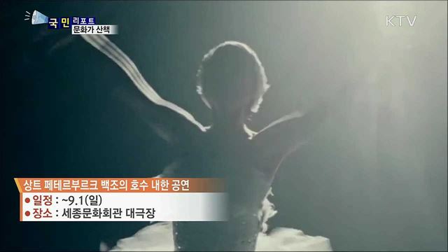 이 주의 문화가 산책