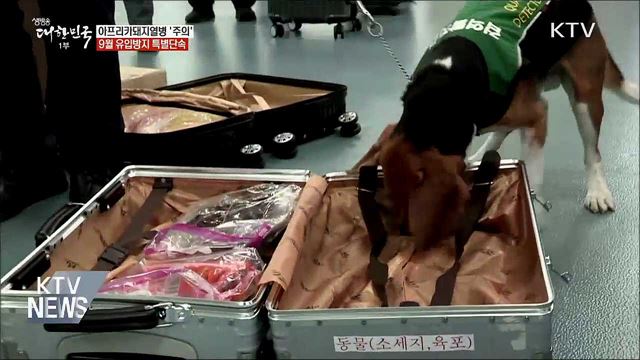 돼지열병 특별단속···"해외 축산물 검역 강화" 