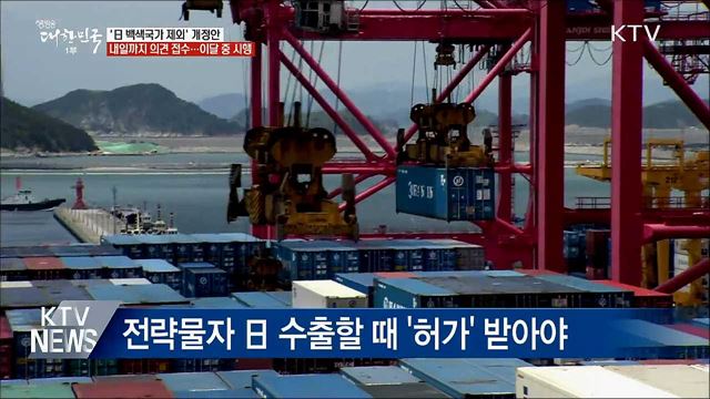 이달 중 한국도 '日 백색국가 제외 시행'