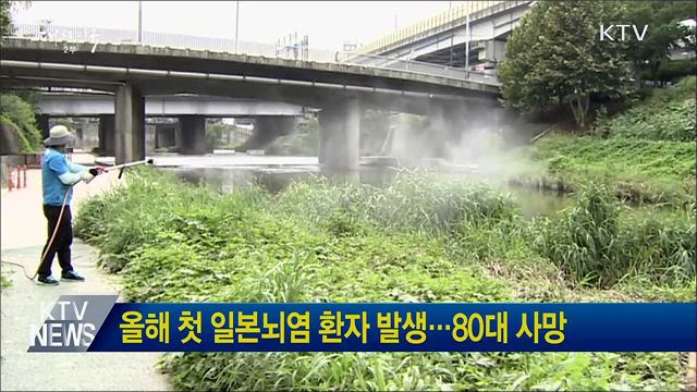 올해 첫 일본뇌염 환자 발생···80대 사망