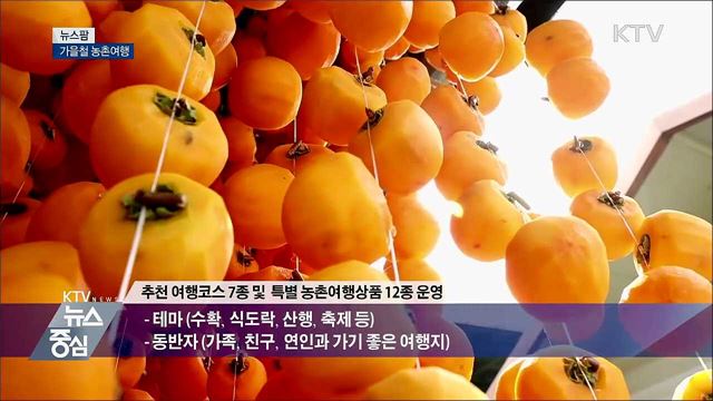 가을철 농촌여행 [뉴스팜]