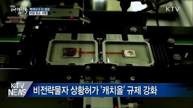 이달 중순 백색국가서 일본 제외 시행될 듯