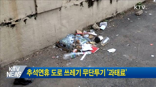 추석연휴 도로 쓰레기 무단투기 '과태료'