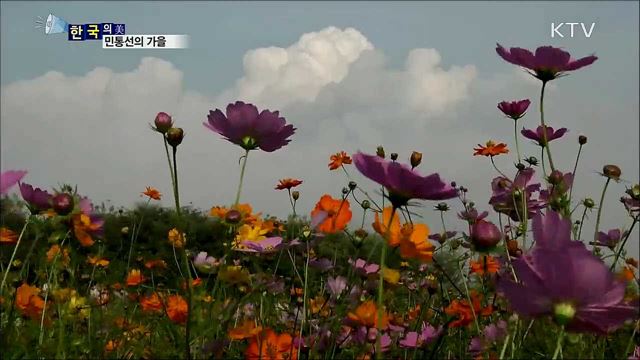 민통선의 가을 [한국의 美]
