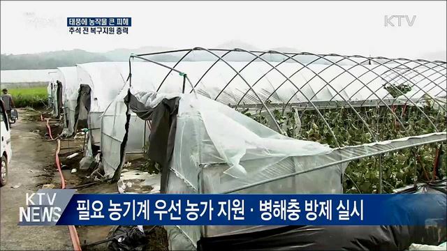 태풍에 농작물 큰 피해···추석 전 복구지원