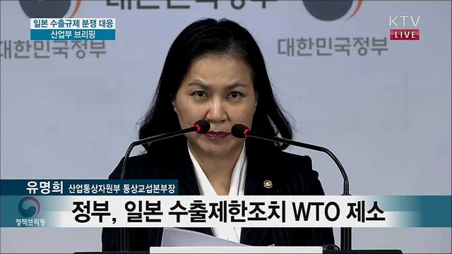 일본 수출규제 분쟁 대응 산업부 브리핑