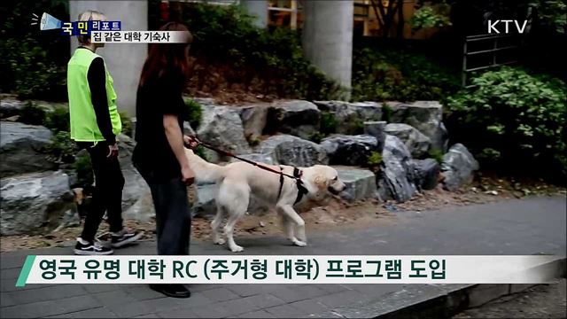 "집처럼 편안해요"···달라진 대학 기숙사 호응