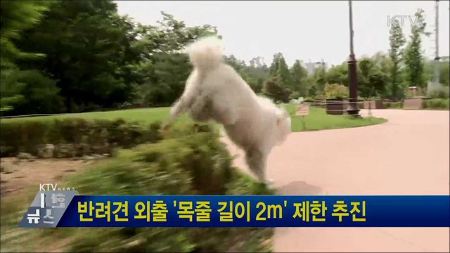 반려견 외출 '목줄 길이 2ｍ' 제한 추진