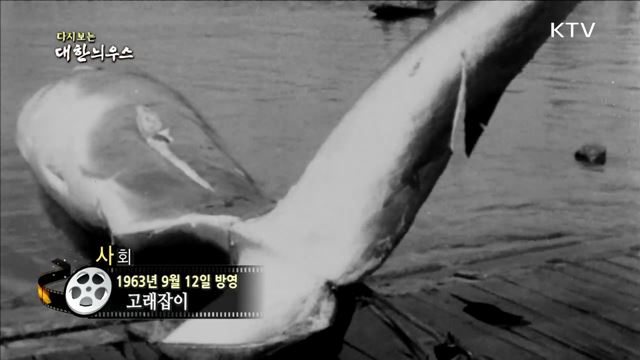 다시보는 대한늬우스 (63. 9. 12)