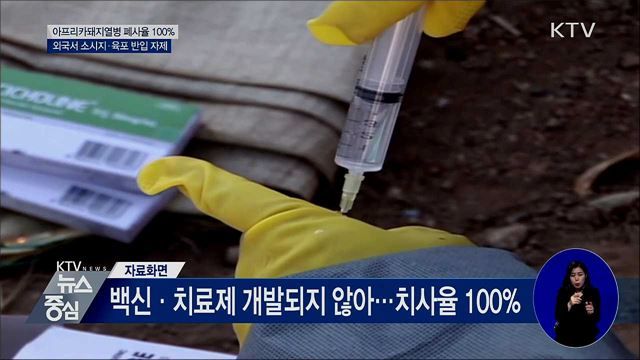 폐사율 100%···외국서 소시지·육포 반입 자제