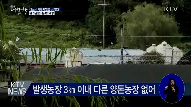 돼지열병 국내 첫 발생···위기경보 '심각' 격상