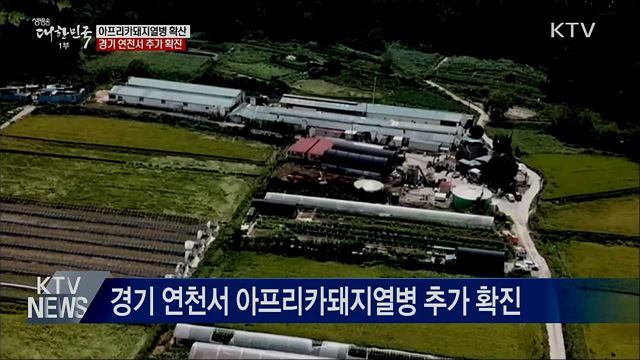 아프리카돼지열병 경기 연천서 추가 발생