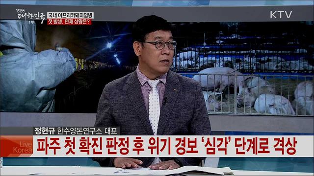 아프리카돼지열병 국내 첫 발생, 방역 대책은?