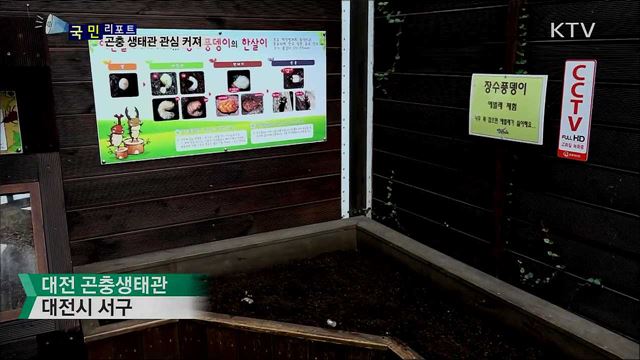 '곤충의 날' 지정···곤충 생태관 관심 커져 