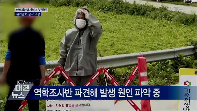 돼지열병 국내 첫 발생···위기경보 '심각' 격상