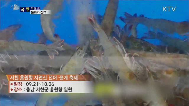 이주의 문화가 산책