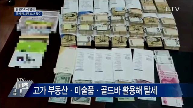 '땅굴파기식 탈세' 고액 자산가 219명 세무조사