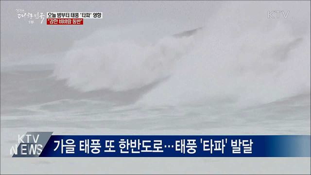 태풍 '타파' 강한 비바람···오늘 밤 제주 '비'