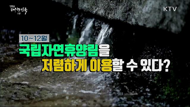 평일은 더 저렴하게 국립자연휴양림 최대 25% 할인 [정책톡! 돈이툭!]