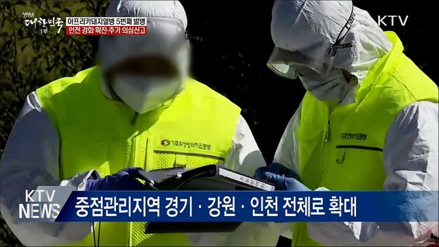 인천 강화 아프리카돼지열병 확진···5번째 발병