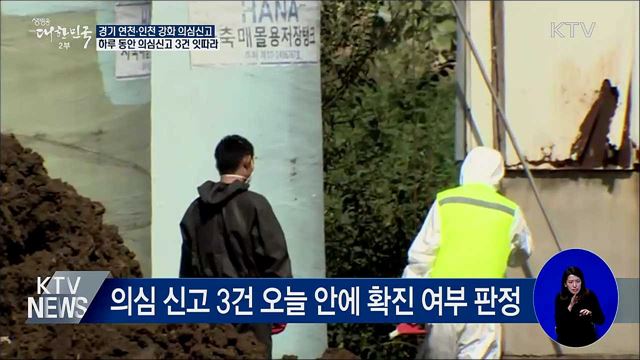 경기 연천·인천 강화 의심신고···하루 3건 잇따라