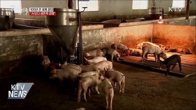 100년 간 세계 강타···"AI보다 생존력 강해"