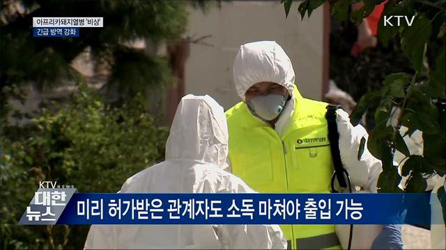 아프리카돼지열병 '비상'···긴급 방역 강화