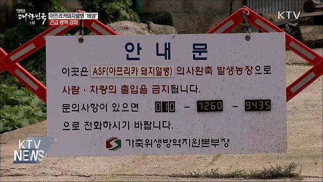 아프리카돼지열병 '비상'···긴급 방역 강화