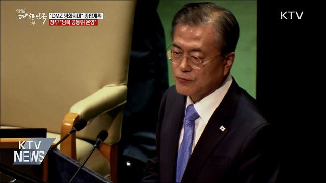 DMZ 국제평화지대 종합계획···"남북 공동위 운영"