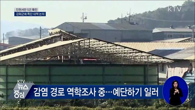 인천서만 5건 확진···강화군에 특단 대책 논의