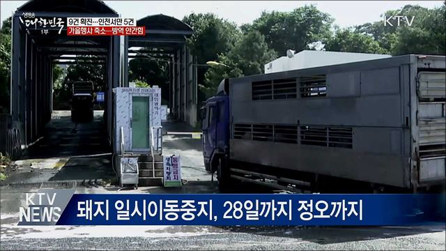 아프키라돼지열병 9건 확진···방역 안간힘