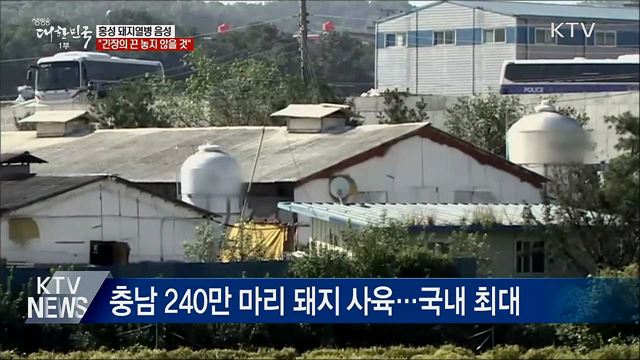 홍성 돼지열병 음성···"긴장의 끈 놓지 않을 것"