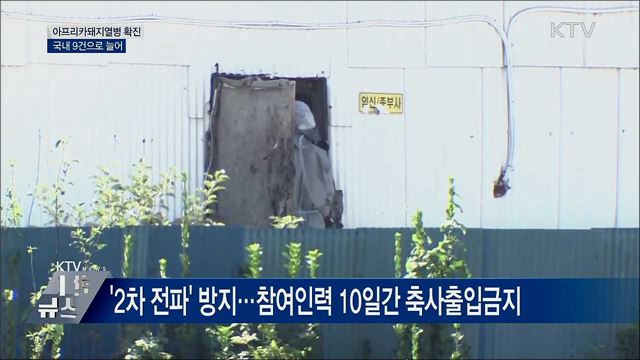 강화서 아프리카돼지열병 확진···'국내 9건'