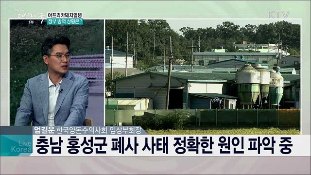 아프리카돼지열병 방역 상황은?