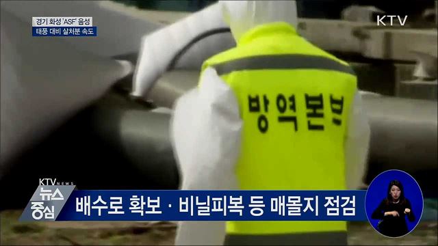 경기 화성 '음성'···태풍 대비 살처분 속도