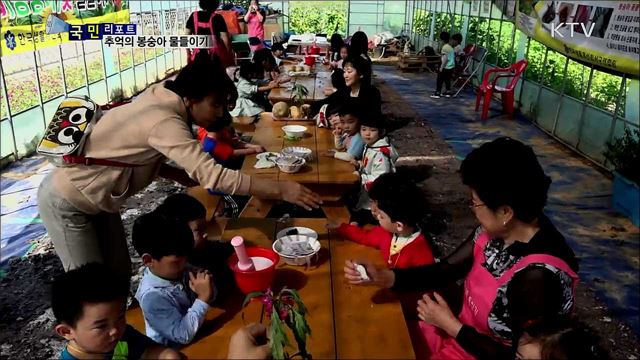 추억의 봉숭아 물들이기···정겨운 모습 재연