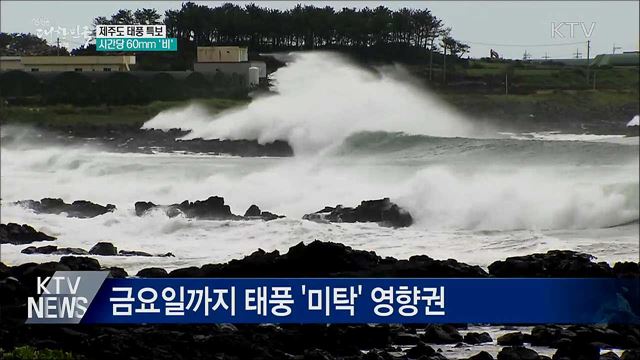 제주도 태풍 특보···시간당 60mm '비'
