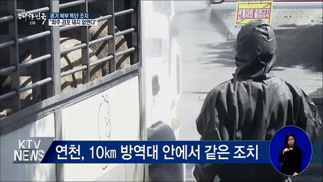 경기 북부 특단 조치···"파주·김포 돼지 없앤다"