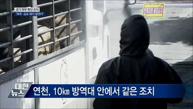 경기 북부 특단 조치···"파주·김포 돼지 없앤다"