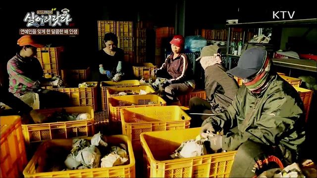 연예인을 잊게 한 달콤한 배 인생