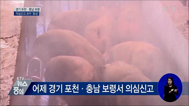 경기 포천·충남 보령 의심신고 모두 음성