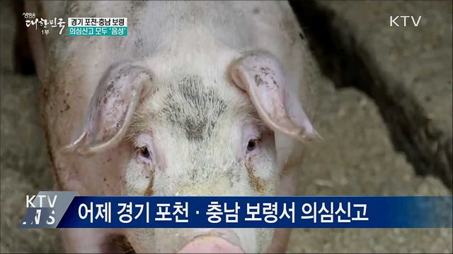 경기 포천·충남 보령 의심신고 모두 음성
